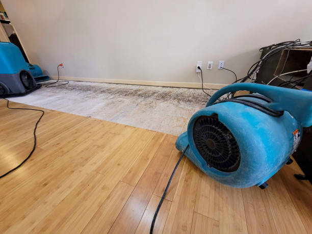 Professional Water Extraction technician working in Lodi, CA